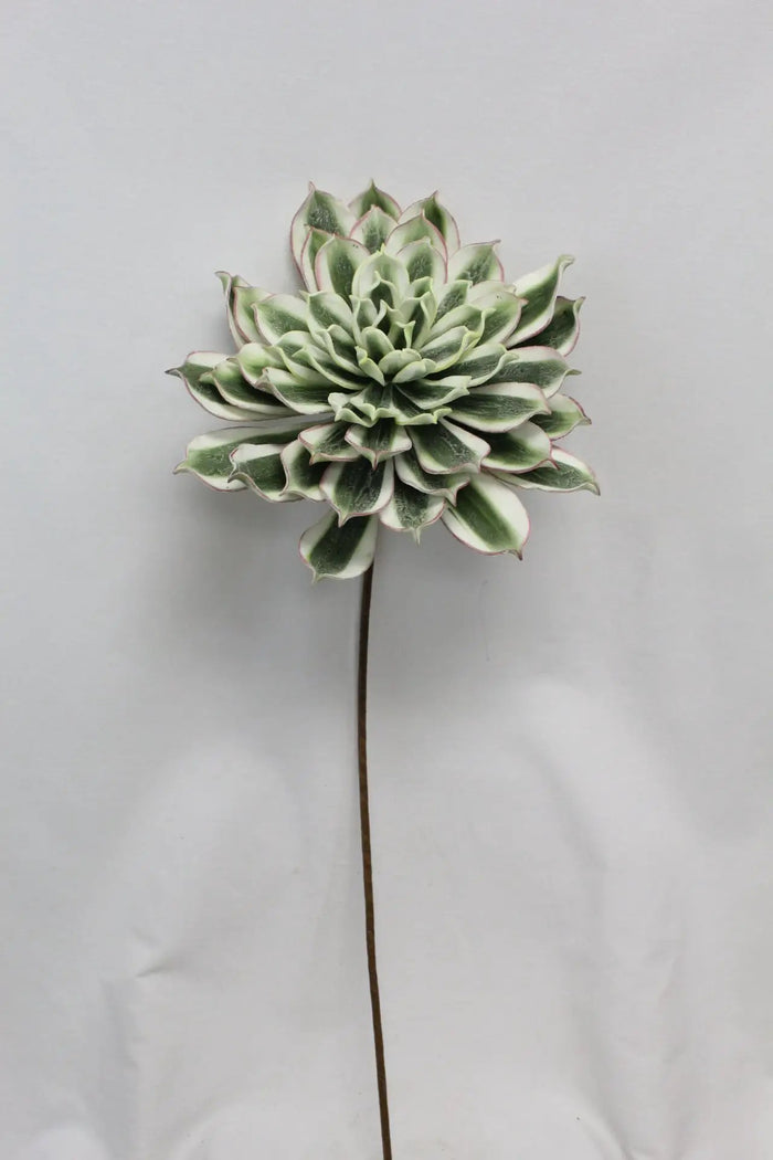 Foam Succulent Flower Green/Cream 31.5"