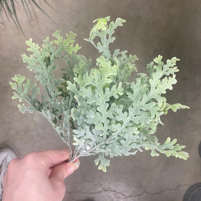 Le Fleur Frosted Dusty Miller Bush 10" - Silk