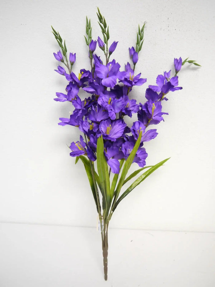 Gladiolas Bush Purple