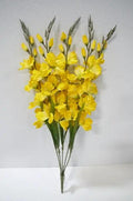 Gladiolas Bush Yellow