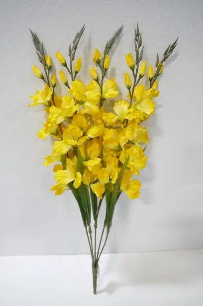 Gladiolas Bush Yellow