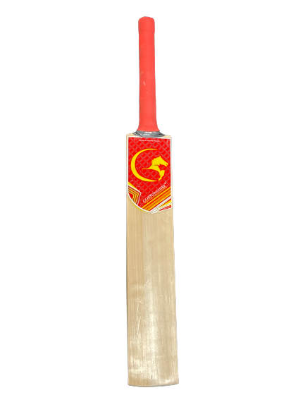 Gortonshire Kashmir Willow Cricket Bat