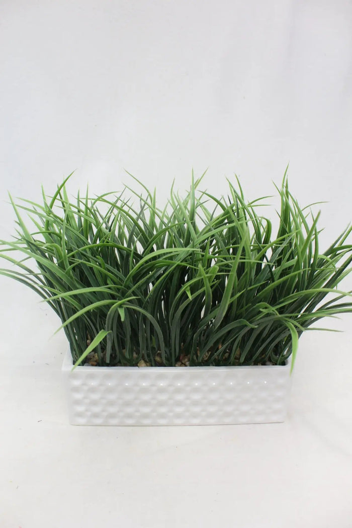 Grass in White Pot 10"