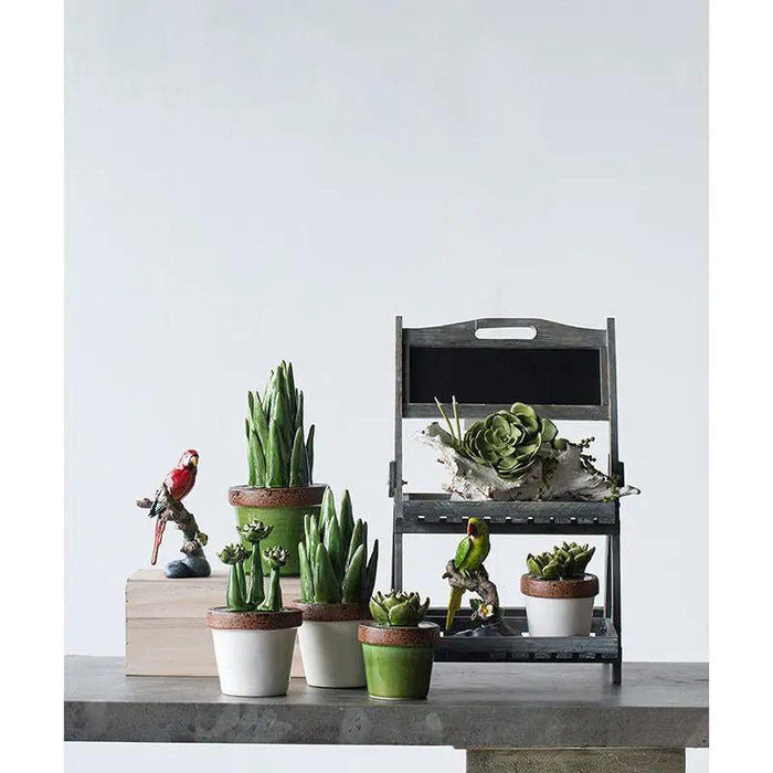 A&B Green-White Ceramic Succulent in Pot 4"D x 5"H - Figurines Merchandise