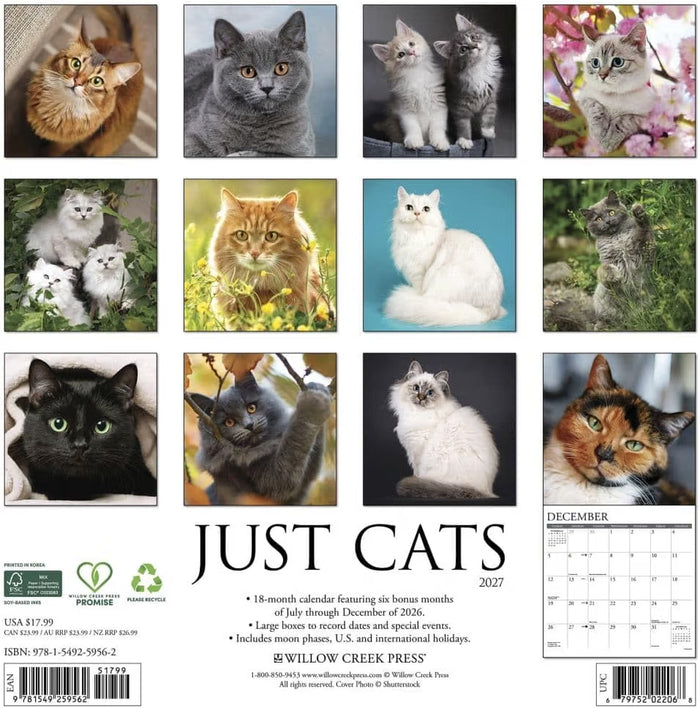 Just Cats - 2027 Wall Calendar | Willow Creek Press