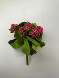 Supreme Kalanchoe Bush 9'' Pink - Artificial Flora Silk