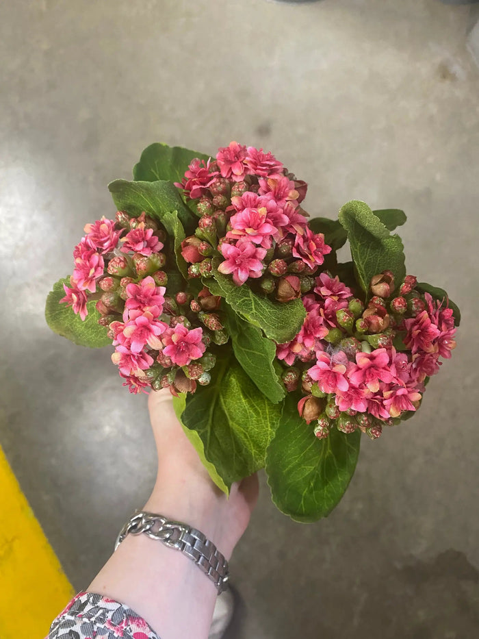 Supreme Kalanchoe Bush 9'' Pink - Artificial Flora Silk