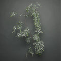 LAST ONE REDUCED! 180cm (6ft) Deluxe Frosted White Berry Mistletoe Christmas Xmas Garland