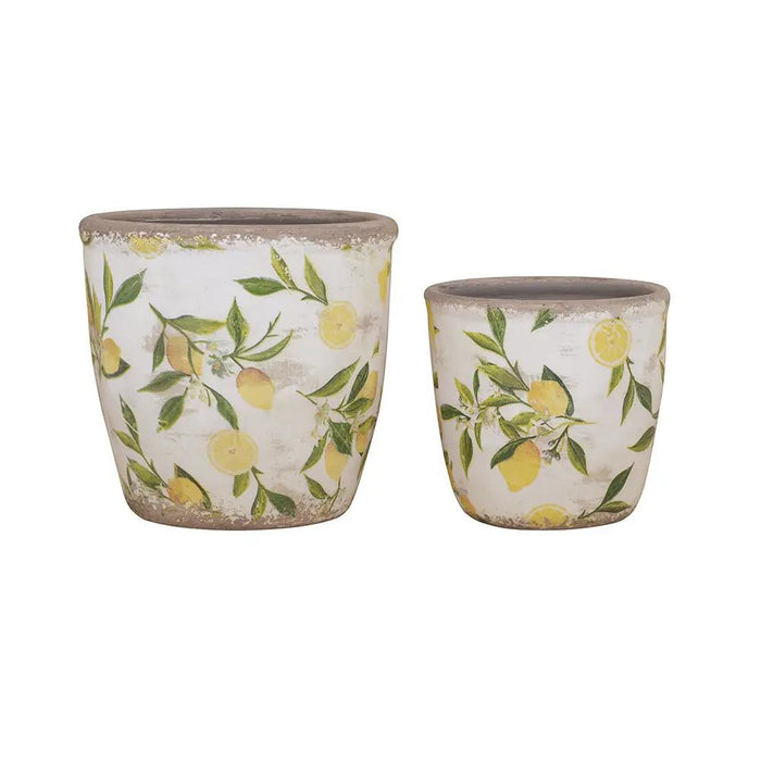 A&B Lemon Planter (2 Sizes) 5-6" - Planters Merchandise