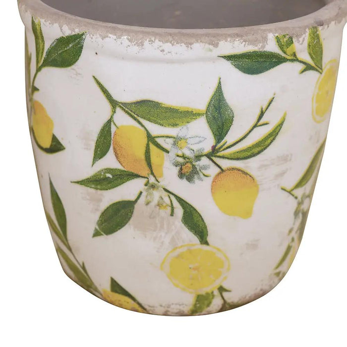 A&B Lemon Planter (2 Sizes) 5-6" - Planters Merchandise