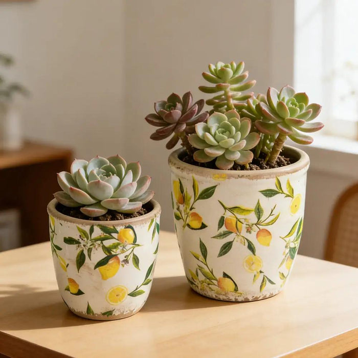 A&B Lemon Planter (2 Sizes) 5-6" - Planters Merchandise