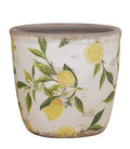 A&B Lemon Planter (2 Sizes) 5-6" - Planters Merchandise