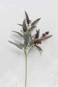 Long Eucalyptus Spray Grey