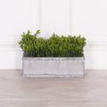 Metal Window Box Planter - Modern Home Interiors