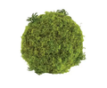 Select Moss Ball 5"D - Uncategorized Silk