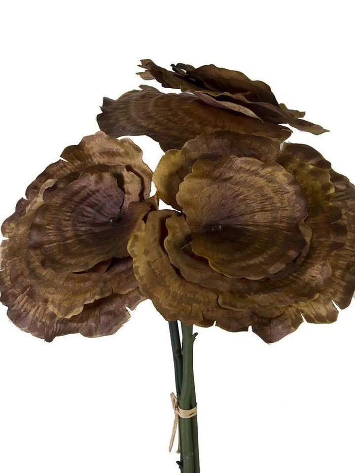 AmBest Mushroom Bundle Chocolate 24" - Uncategorized Silk