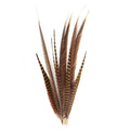 Natural Pheasant Tail Feathers 16-30" (Pack of 10)