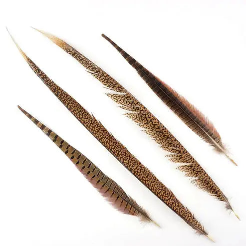 Natural Pheasant Tail Feathers 16-30" (Pack of 10)
