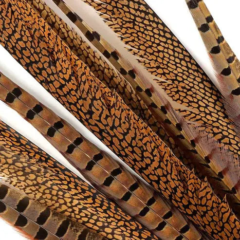 Natural Pheasant Tail Feathers 16-30" (Pack of 10)