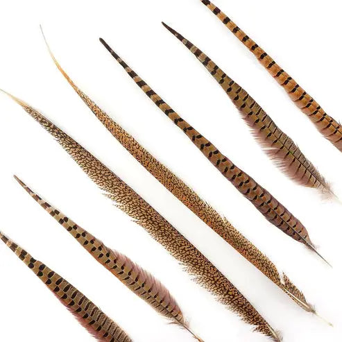 Natural Pheasant Tail Feathers 16-30" (Pack of 10)