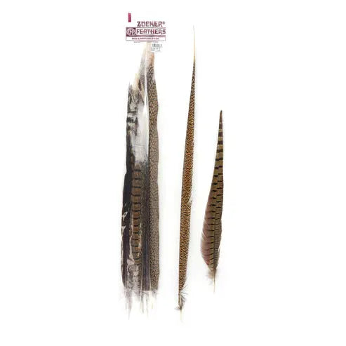 Natural Pheasant Tail Feathers 16-30" (Pack of 10)