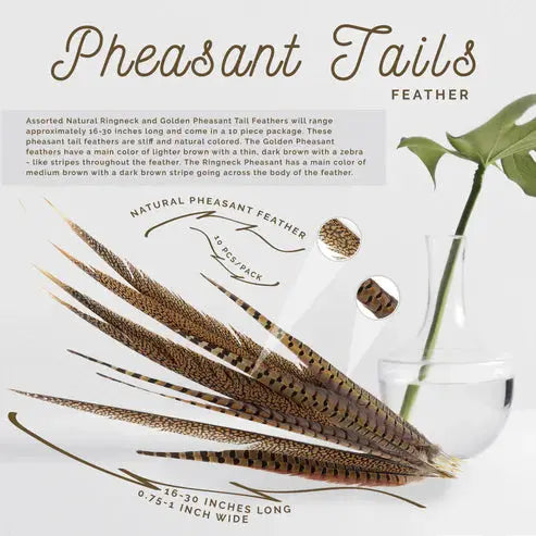 Natural Pheasant Tail Feathers 16-30" (Pack of 10)