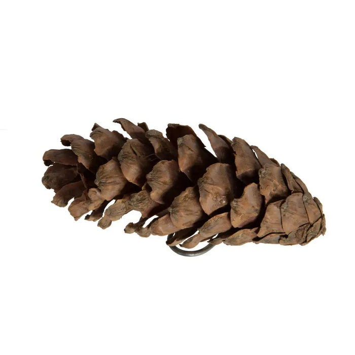 Vickerman Natural White Pine Cone Sm 50/pk 3.14" - Silk