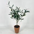 Melrose Olive Topiary in Pot - Silk