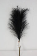 Pampas Feather Bundle (x3) Black