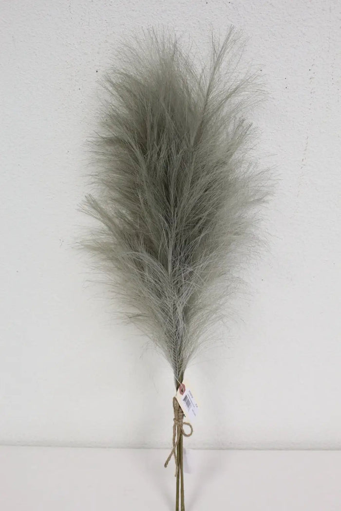 Pampas Feather Bundle (x3) Grey