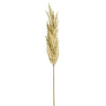 Pampas Grass Spray Cream  46"