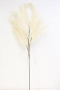 Pampas Spray Cream 47''