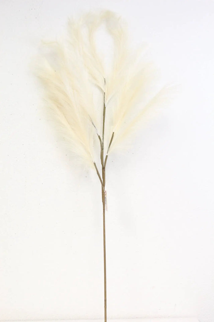 Pampas Spray Cream 47''