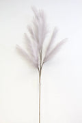 Pampas Spray Light Gray 47''