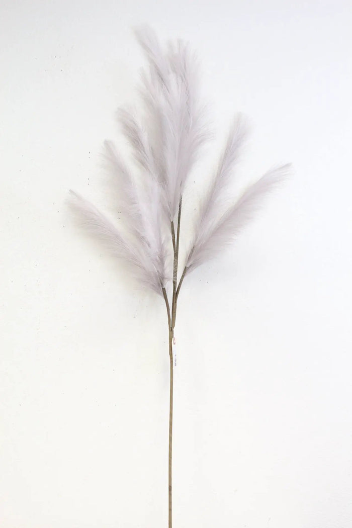 Pampas Spray Light Gray 47''