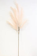 Pampas Spray Light Pink 47''