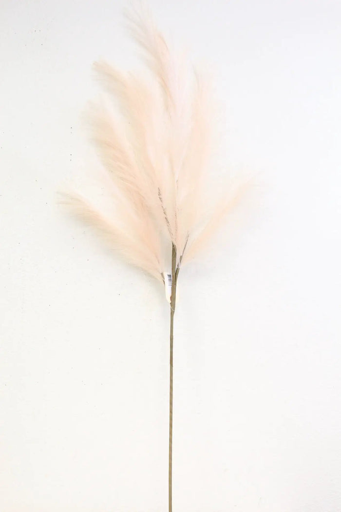 Pampas Spray Light Pink 47''
