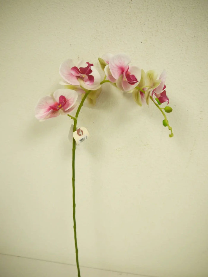 Phalaenopsis Spray Lavender 34"