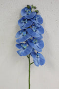 Phalaenopsis Stem Blue 33.5"
