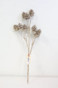 Pine/Cone Glitter Spray Gold-Champagne 20"
