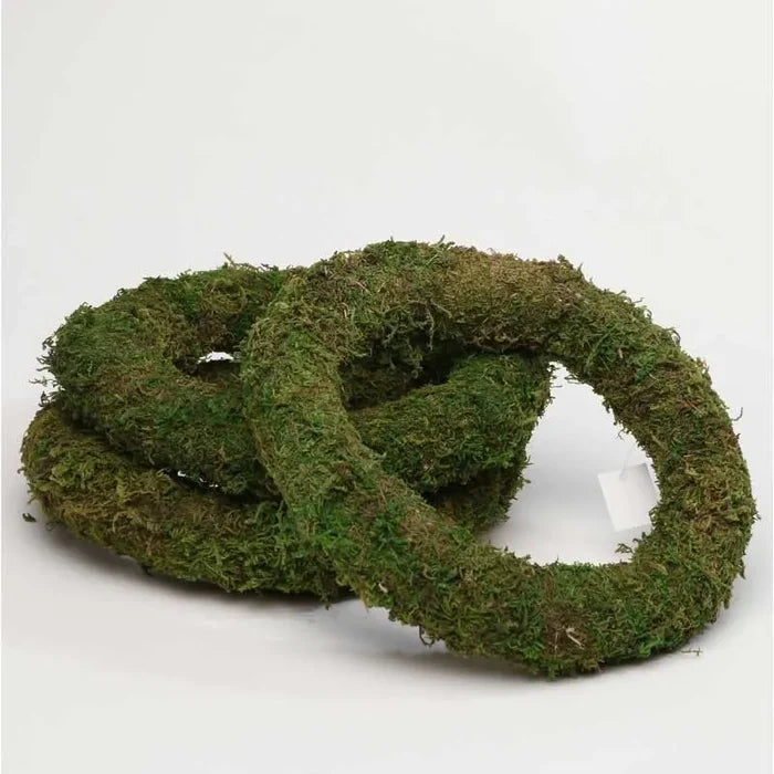 PRE ORDER - Box of 10 - 10" (25cm) Moss Ring - Christmas Decoration Wreath