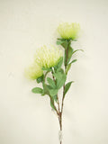 Protea Spray Cream-Green 33"