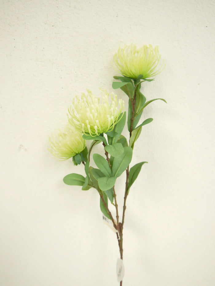 Protea Spray Cream-Green 33"