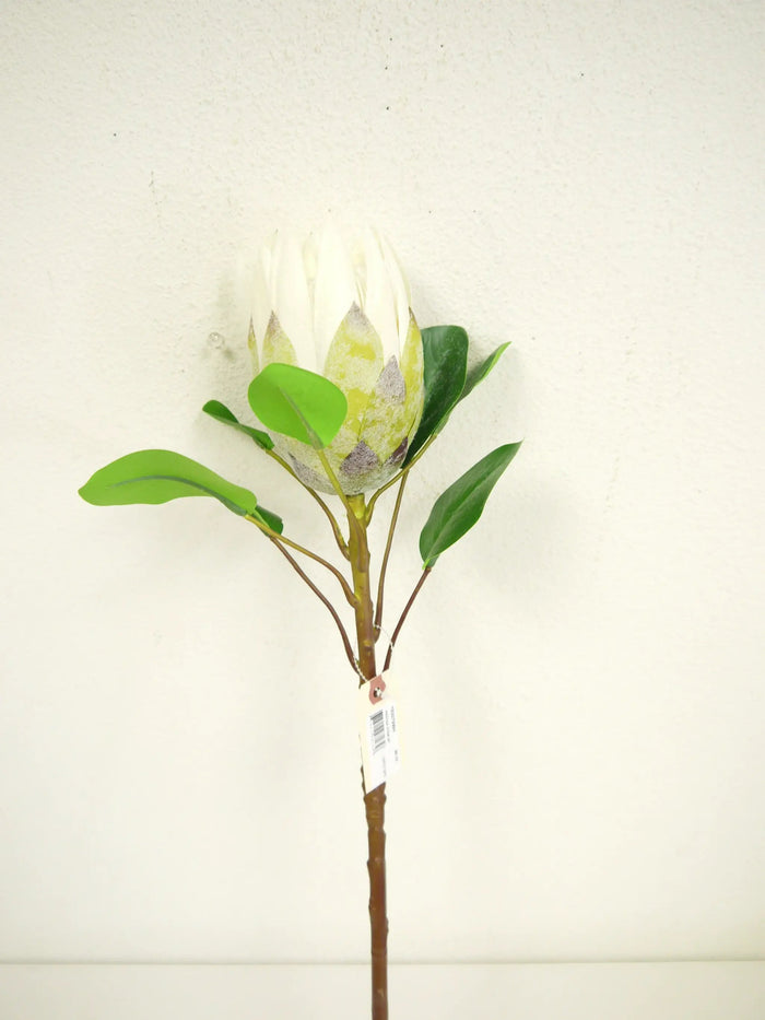 Protea Stem White 28"