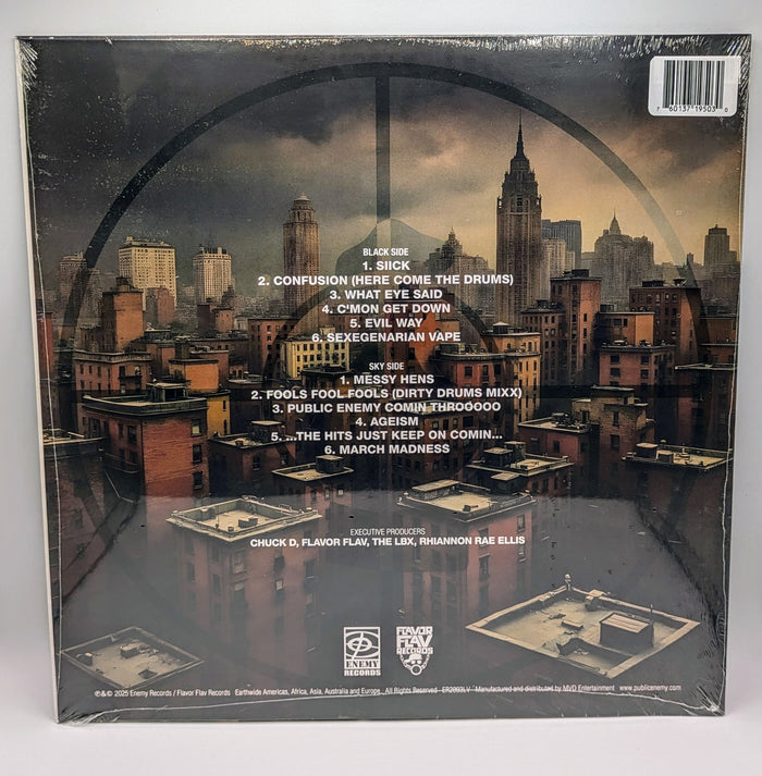 Public Enemy SIGNED Black Sky Over The Projects LP Vinyl Chuck D Flava Flav