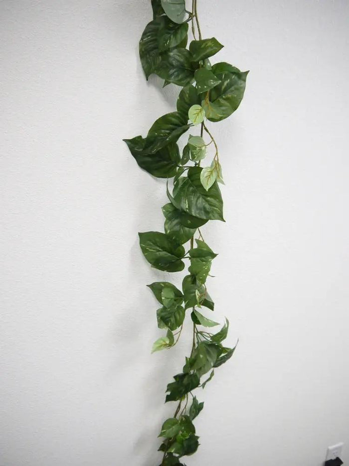 Puff Pothos Garland 6'
