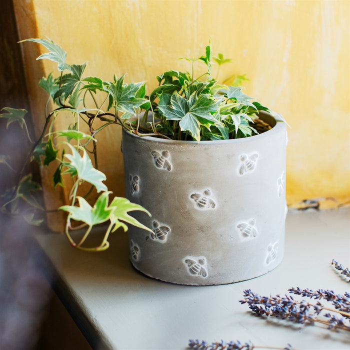 Queen Bee Cement Planter - Modern Home Interiors