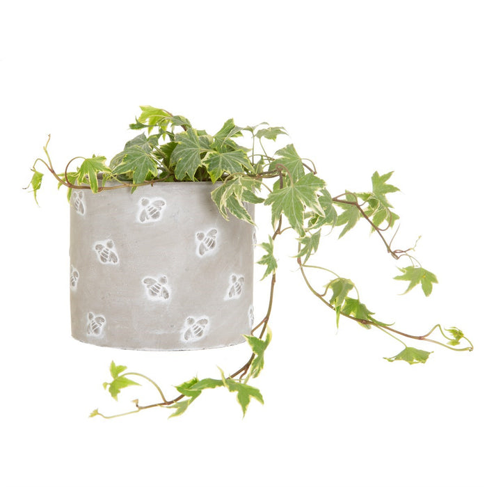 Queen Bee Cement Planter - Modern Home Interiors