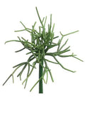 Allstate Real Touch Pencil Cactus Pick 8" - Artificial Non-Flowering Plants Silk