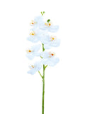 AmBest Real Touch Phalaenopsis Orchid White 24" - Artificial Flowering Plants Silk